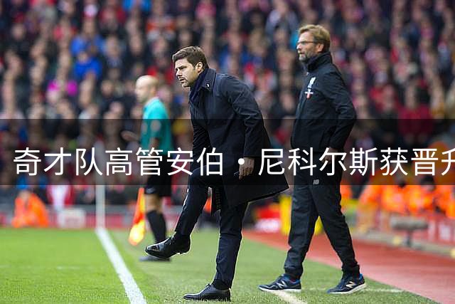 奇才队高管安伯·尼科尔斯获晋升 担任篮球运营副总裁